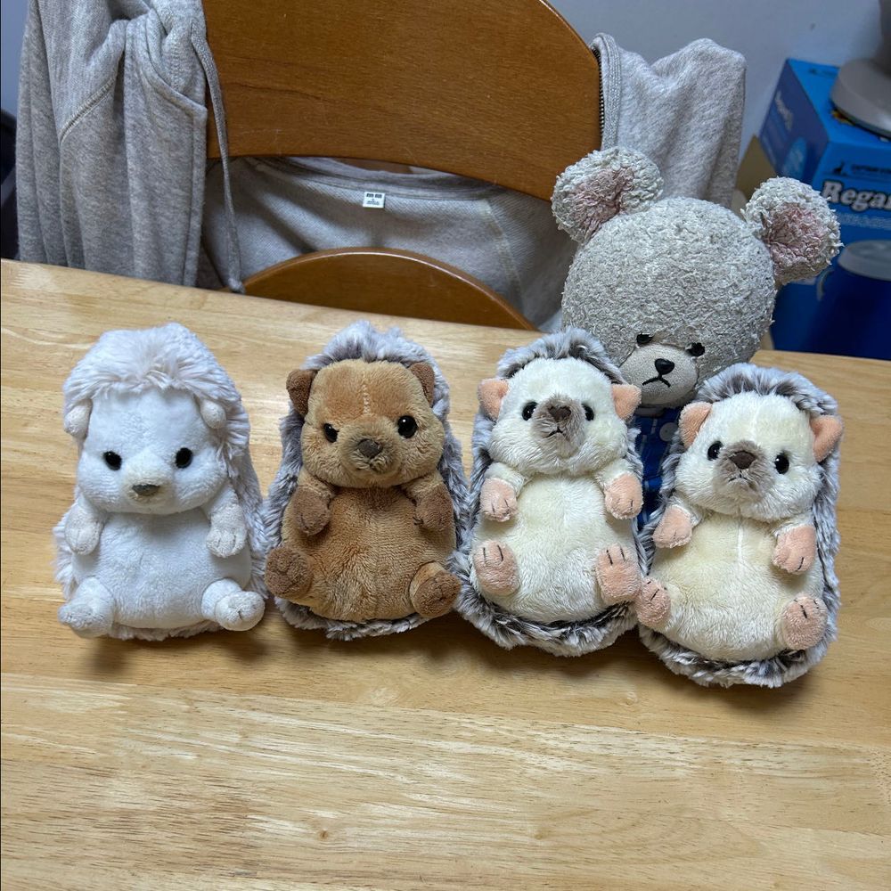 う゛ぅ゛〜〜
なんてことに…
ハリネズミ🦔エリアでごろ寝したがために、下敷きとは🐻‍❄️💦
なんか、みんなさ〜前より丸くなってるよね？
並んでごらん🦔🦔🦔🦔
まろんちゃんきたばかりの頃、小さかったのに、こんなにお育ちに…うにちゃんも、それ以上にぼんちゃんも…