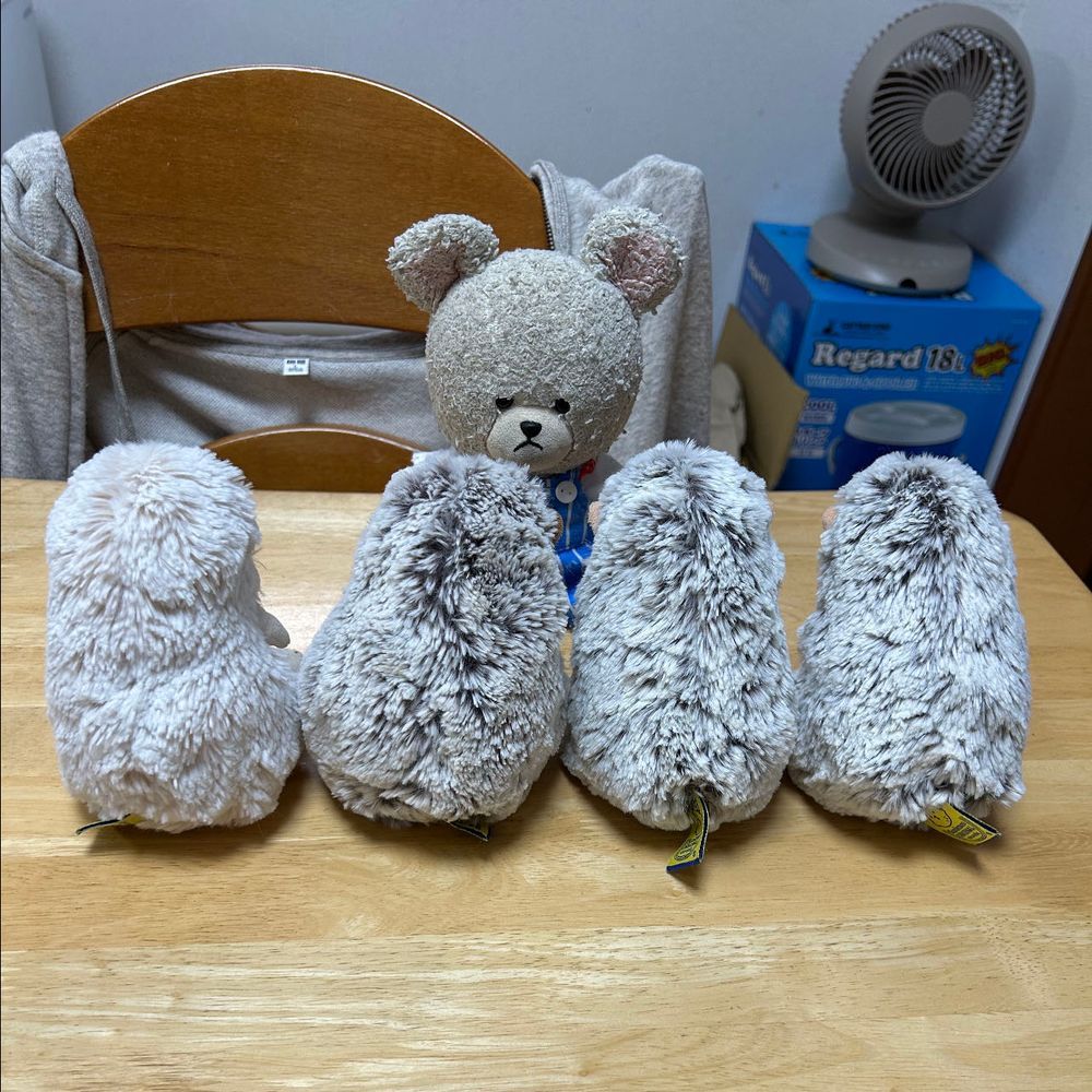 う゛ぅ゛〜〜
なんてことに…
ハリネズミ🦔エリアでごろ寝したがために、下敷きとは🐻‍❄️💦
なんか、みんなさ〜前より丸くなってるよね？
並んでごらん🦔🦔🦔🦔
まろんちゃんきたばかりの頃、小さかったのに、こんなにお育ちに…うにちゃんも、それ以上にぼんちゃんも…