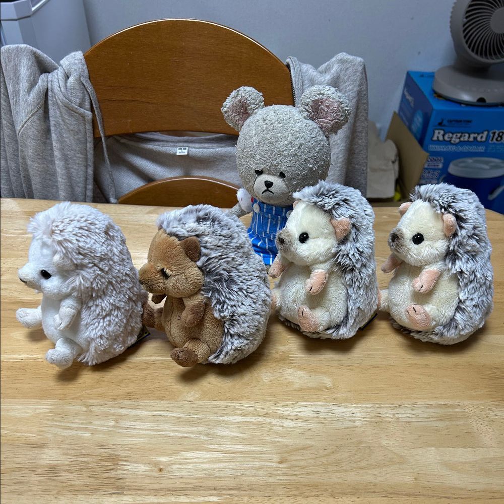 う゛ぅ゛〜〜
なんてことに…
ハリネズミ🦔エリアでごろ寝したがために、下敷きとは🐻‍❄️💦
なんか、みんなさ〜前より丸くなってるよね？
並んでごらん🦔🦔🦔🦔
まろんちゃんきたばかりの頃、小さかったのに、こんなにお育ちに…うにちゃんも、それ以上にぼんちゃんも…