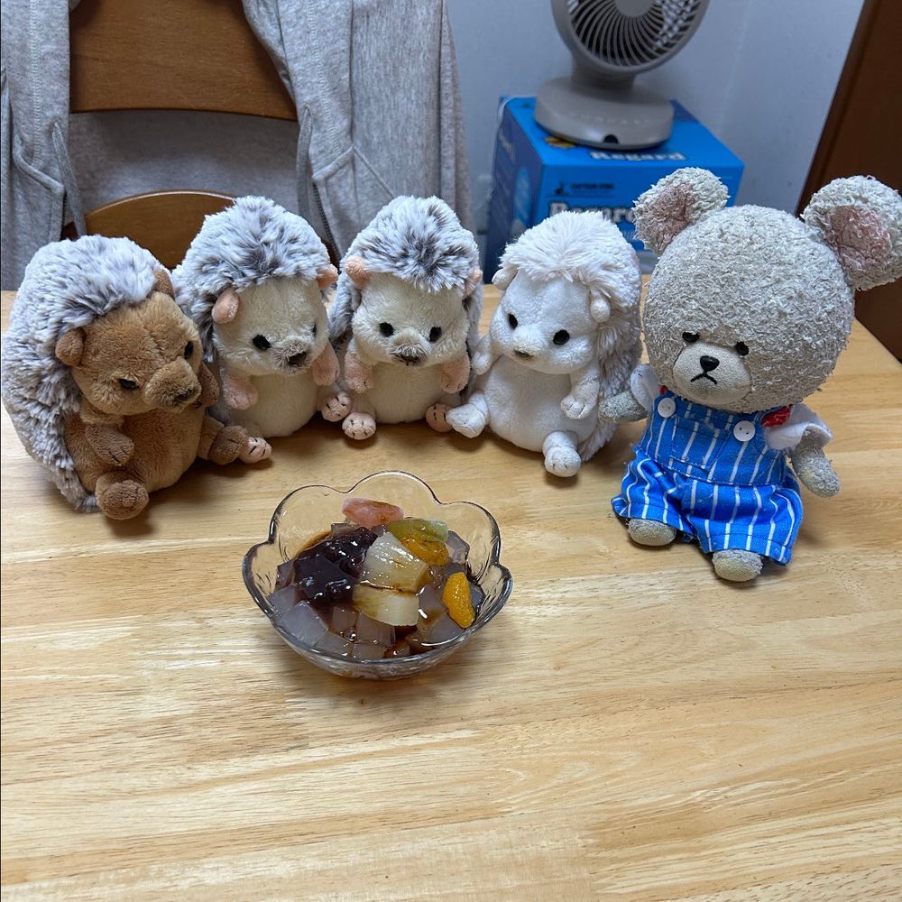 ふぅ〜おやつでひと息
ココナッツ🥥ポッキーうまい😋
追加おねだりしよう🐻‍❄️
🐻‍❄️💭
２枚目写真…やっぱりまろんちゃん小さかった‼️
昨日のおやつ時のあんみつ4種見つけて、興奮するハリネズミたち…
原因、これか？