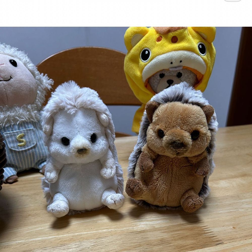 ふぅ〜おやつでひと息
ココナッツ🥥ポッキーうまい😋
追加おねだりしよう🐻‍❄️
🐻‍❄️💭
２枚目写真…やっぱりまろんちゃん小さかった‼️
昨日のおやつ時のあんみつ4種見つけて、興奮するハリネズミたち…
原因、これか？