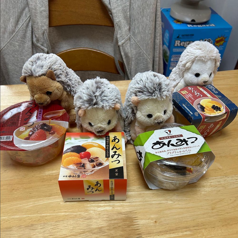 ふぅ〜おやつでひと息
ココナッツ🥥ポッキーうまい😋
追加おねだりしよう🐻‍❄️
🐻‍❄️💭
２枚目写真…やっぱりまろんちゃん小さかった‼️
昨日のおやつ時のあんみつ4種見つけて、興奮するハリネズミたち…
原因、これか？