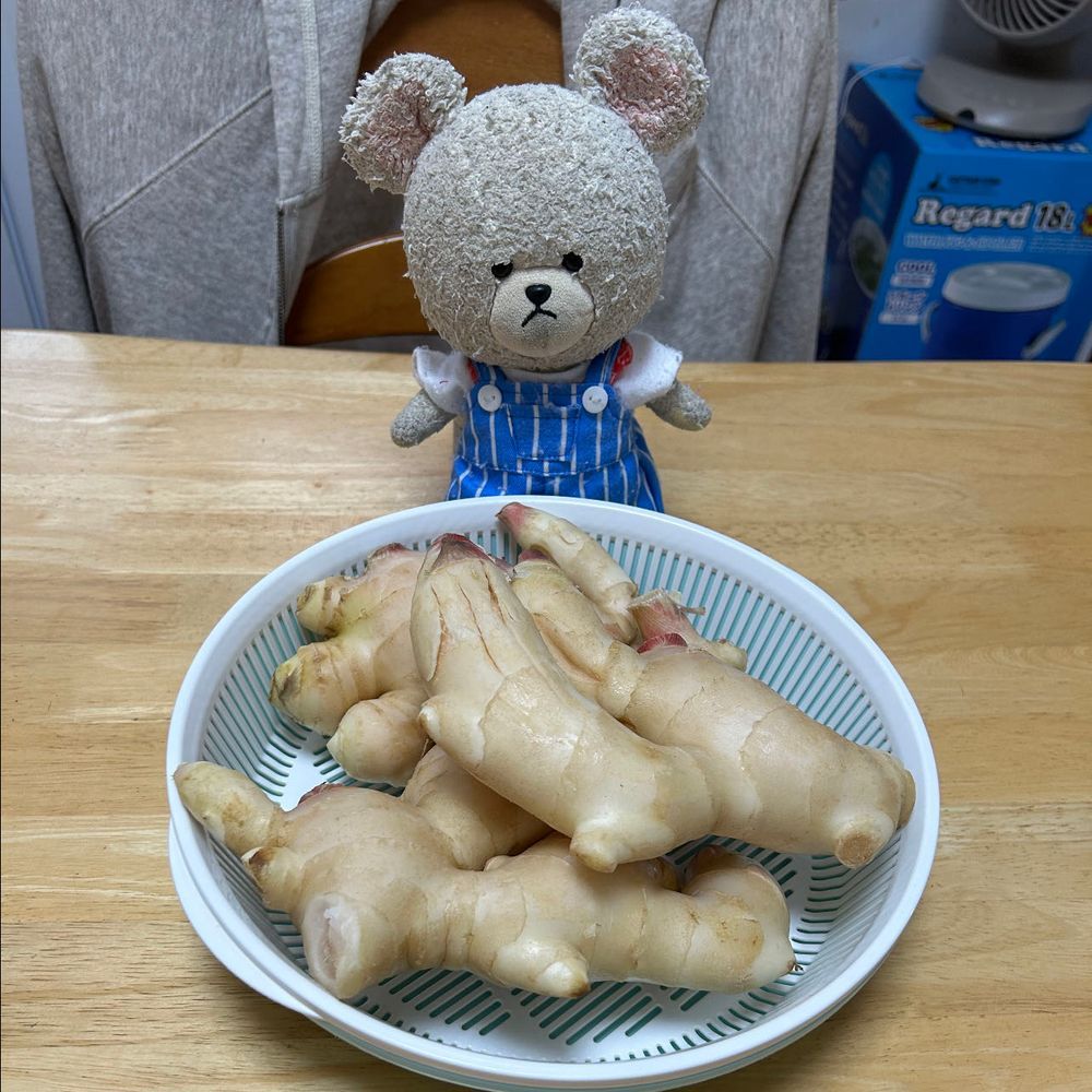 生どーなつ　はちみつなの❣️
ディちゃんがね、美味しいよって教えてくれたの🤭
今日までだ💦少し眺めたかったのに…
けど、お得だから👍
開ける音ではりーちゃんが🦔
半分こしようね🍩
美味しかった😋

新生姜なの❣️
デッカ‼️
加工して、甘酢漬けに✨これでいつでも、ネギトロやいなり寿司食べられる🎶🥄🐻‍❄️