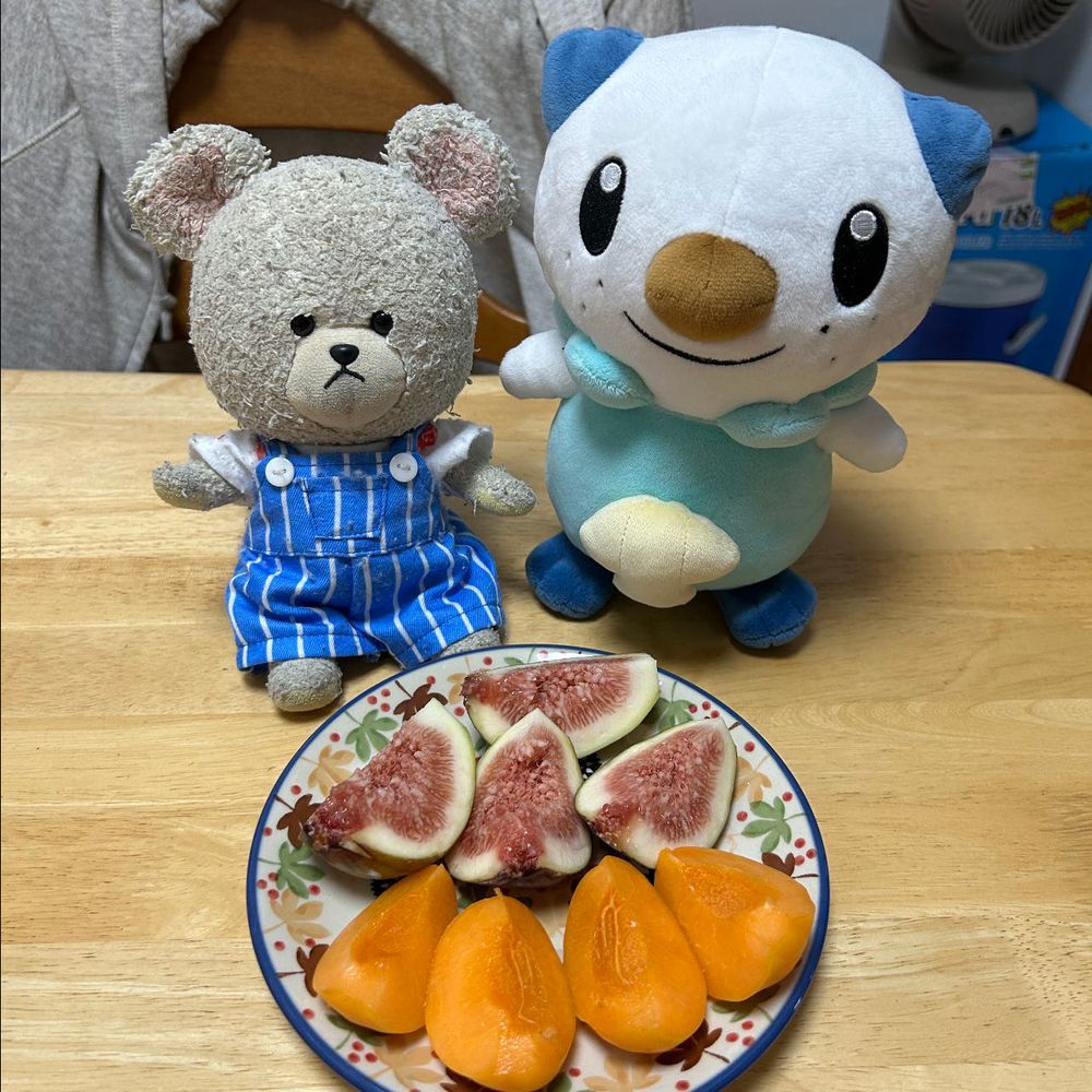季節の果物✨
大好きなイチジクの季節❤️
それから、珍しく杏があったんが〜✨
カット🔪して
みじゅちゃんと❣️
やっぱりイチジク最高だ😆
杏は酸っぱかった〜なんか効く🤣

出先で見つけた花壇
赤いベゴニア、紫のアゲラタム、黄色のマリーゴールドに白いベゴニア、その手前あたりに白と薄紫の千日紅、1番奥の紫色も千日紅…賑やかないい花壇だね❤️

さて、ぴーしゃんご執心のコールラビ😍
けばけば生えてるだけで、もぉ〜❤️既に大満足🤣
普段土の中でのこと…知らないうちにこんなふうに育って芽が出るんだね❣️
