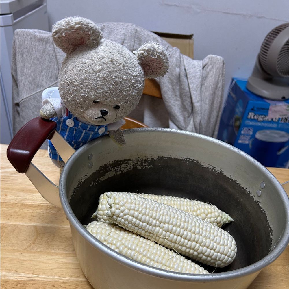 昨日、🌽荷物届いて、ぺくちゃん飛びついてた🤭
なんかすげ〜のきた〜〜って大興奮なの😂なのに皮剥いたら、熱冷めた💦
何がダメだったのかな？🐻‍❄️💦
電子レンジでチンする方法はぴーしゃんに向かないから鍋で茹でる🌽
いい匂いに誘われて、ちくまろうにぼん🦔🦔🦔🦔
熱々な🌽　この距離でも熱を感じて誰も手が出ない💦
夜ごはんにとうもろこしごはん食べたの🍚甘くて美味しいね🥄🐻‍❄️🎶