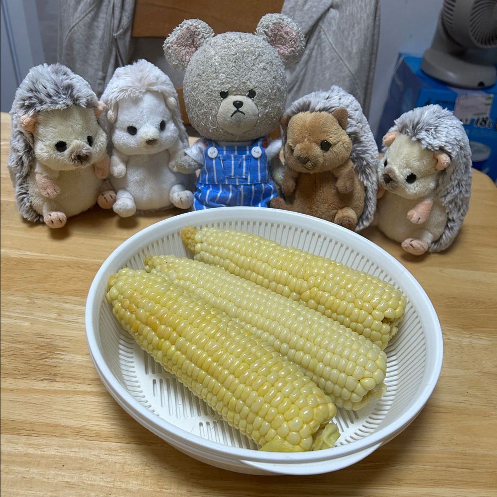 昨日、🌽荷物届いて、ぺくちゃん飛びついてた🤭
なんかすげ〜のきた〜〜って大興奮なの😂なのに皮剥いたら、熱冷めた💦
何がダメだったのかな？🐻‍❄️💦
電子レンジでチンする方法はぴーしゃんに向かないから鍋で茹でる🌽
いい匂いに誘われて、ちくまろうにぼん🦔🦔🦔🦔
熱々な🌽　この距離でも熱を感じて誰も手が出ない💦
夜ごはんにとうもろこしごはん食べたの🍚甘くて美味しいね🥄🐻‍❄️🎶