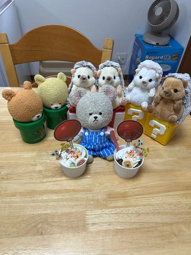 とりあえず、アイスをみんなで食べようね🥄
こうなるとね、🥄係はぴーしゃんだ🐻‍❄️
美味しかったし、疲れたから、ゴロンとするよ💤
