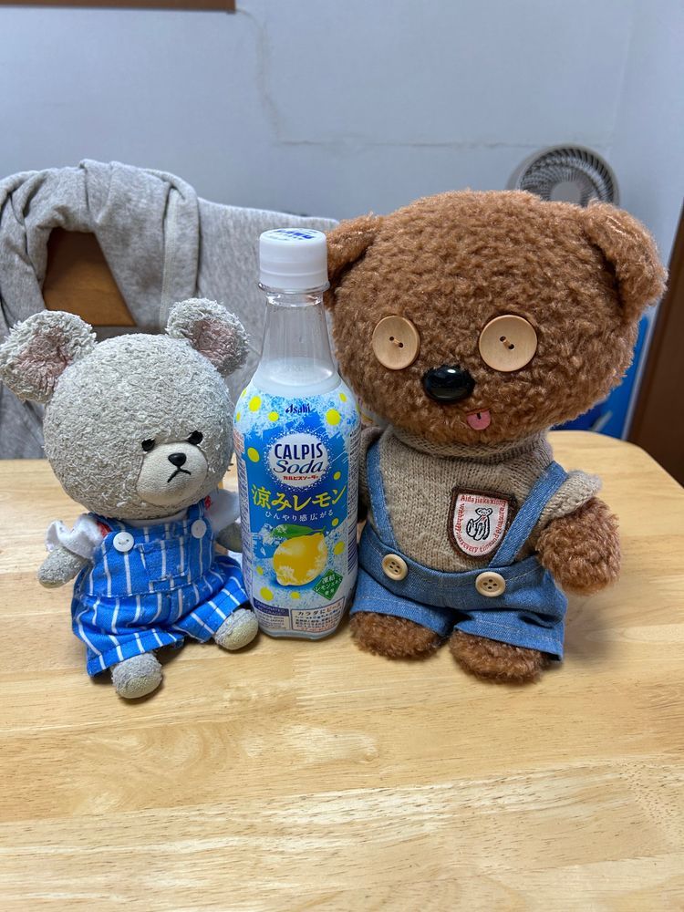 ぴったんこバナナ🍌
食べ切りサイズでびっくりなの🫢こんなのあるんだね〜❣️
ティンちゃん、一本ずつもらおう🐻‍❄️🐻

見切り品パン&スイーツ
ぴーしゃん、賞味期限とか気にしないから👍

カルピスソーダにこんなのあった？？🍋
早く飲みたい✨

炊き込みご飯のもとに、ぴーしゃんの大好きな帆立🤤
パスタソースもなんだか美味しそう❤️