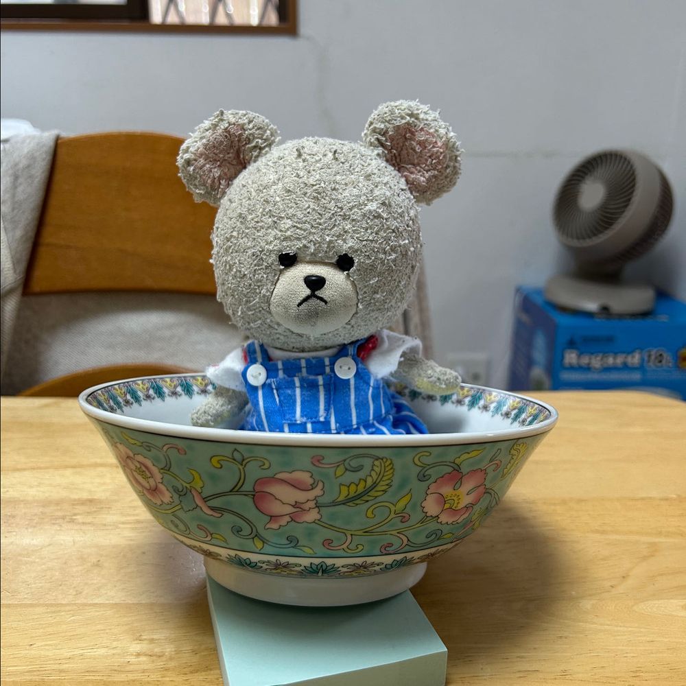 最近、お家の人の手が前にもなったドケルバン症候群ってのとおんなじ不具合で、何かを持って手を返しにくい、掴みにくいってことは…皿洗い中とかに割れ続けたお皿たち…
食器棚が乏しくなってしまうほど😭
だから、前にも買ったけど、通販でさらに買い足していこう👛皿だけに😏
お家の人とぴーしゃん、揃ってひゃー😵
どれもこれもお気に入り確定なものばかり😍
気合い入れて洗い物しないと💦💦
ぴーしゃん応援団しないと📣🐻‍❄️
3枚目…念願の中華皿セット🥟
早く使いた〜い🍜入れてくれぇ〜‼️
・・・
お家の人？
毎回言うけど、
そうじゃないんだよ😭