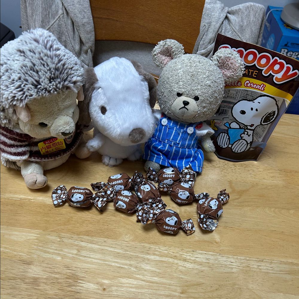 スヌーピーのチョコのなんか（笑）❣️
スヌーピーにはりーちゃんと遊んでたぬーぴーちゃんがやってきた💕８個入り✨
ふたりに一個ずつあげて〜
騒がしいちくまろうにぼんと、目で訴えてくるぺくちゃんにも一個ずつどうぞなの🐻‍❄️✨
さあ、ゆっくり味わおう❣️
パッカンするとこんなやつ✨
名前はよく分からない。
濃厚👍