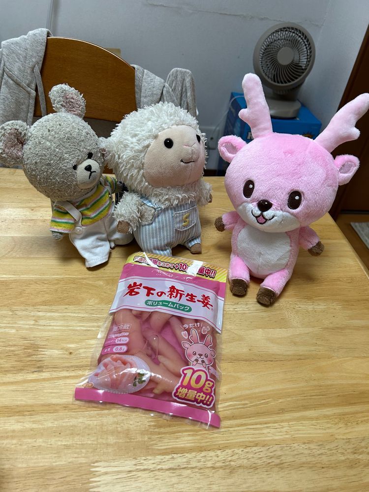 ケンタッキー夏の和風バーガーズ
ぴーしゃんは柑橘タルタル✨
カーネルクランチポテトも好き💖
ドリンクはいつもの定番レモネードソーダ🍋
あ〜レッドホットのためにまた来なくては…

岩下の新生姜まるごとタイプをゲット❣️
ツノとおんなじカタチ✨これつけたら、シシちゃんになれる🤭

モモもらったよ🍑小玉がいっぱい✨
あとクッキー？それから、お家の人喜ぶ軽井沢高原ビール2026年なの🙌