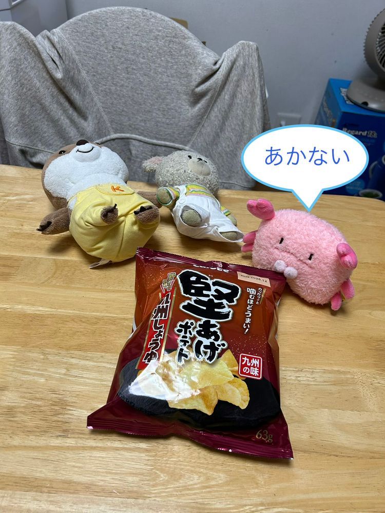 こっつんが雨で暇だから、サクサクしようって堅あげポテト持ってきたの❣️
手でやっても開かないからハサミもらおうと思ったら、ちょきたんきたの🦀
様子見てるとね、ご自慢のハサミでチョキチョキ✂️
でも、やっぱり開かないって🤣