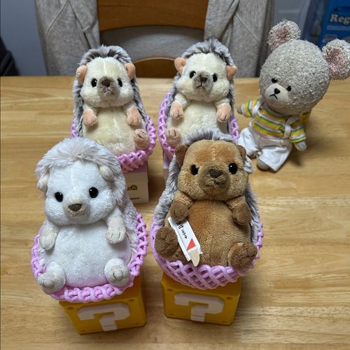 あれから…
ピンクのあみあみから出なくなった　ちくまろうにぼんがここに…
ボックスの上に乗るとますます贈答用感が漂う🤭
動かないから、みんなさらにまんまるコロコロお太りに…💦
お家の人に、どれが美味しいかな？👀✨って言われたら、慌てて出てきたよ〜🦔💨
ぴーしゃんにしがみついてブルブル🦔
食べられちゃう〜って❗️

そんな中、毎度恒例美味しそうで飲んじゃうよ〜とか言ってくるけど、ぴーしゃん、マグカップ入ってお家の人に圧👀‼️
約束のココアはまだ？
エアコンで部屋が冷えたら、いれてくれるって約束したよね？👀‼️‼️🐻‍❄️💨