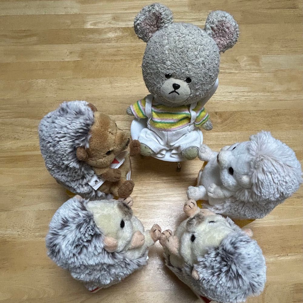暑い〜って帰りにセブンイレブン寄ったら、りすちゃんたべてたソルティキャラメル&ピスタチオと、ちいかわの屋台風たこやきをゲット〜👛

お家に帰って、お留守番ちくまろうにぼんを見に行くと・・・👀❓❓
ぴーしゃんもって言われて混ざってみるけど…
これって何？？
ちっくん曰く、足の裏合わせようの会🐾
なんか、もじょもじょ💦くすぐったい🤣