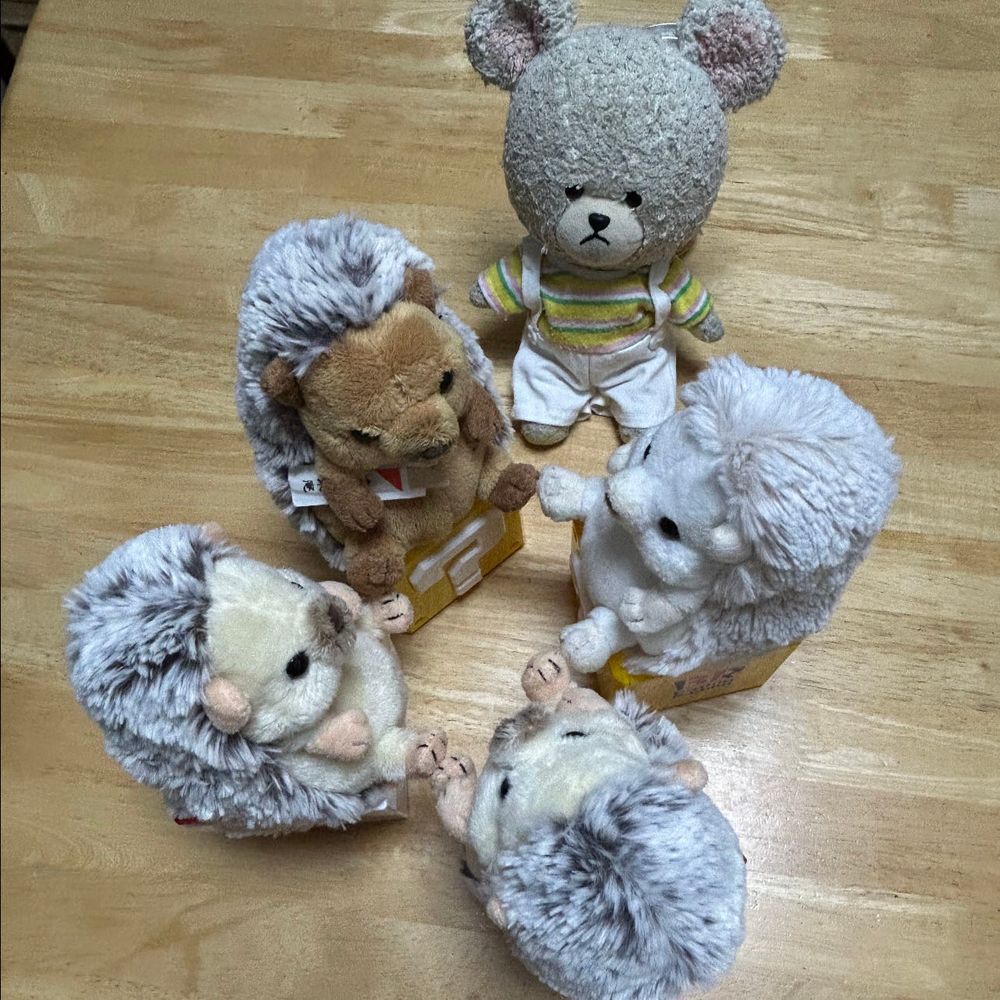 暑い〜って帰りにセブンイレブン寄ったら、りすちゃんたべてたソルティキャラメル&ピスタチオと、ちいかわの屋台風たこやきをゲット〜👛

お家に帰って、お留守番ちくまろうにぼんを見に行くと・・・👀❓❓
ぴーしゃんもって言われて混ざってみるけど…
これって何？？
ちっくん曰く、足の裏合わせようの会🐾
なんか、もじょもじょ💦くすぐったい🤣