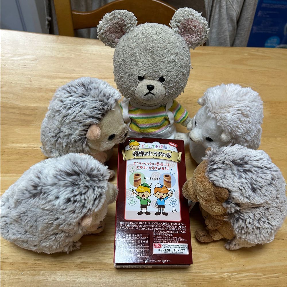 ピコラの会✨
裏面に気になることが書いてあったの📝

なんと‼️

巻き巻きの向きが2種類✨
確かめねば👀❣️
ワクワク…
ぜんぶ、おんなじね…
