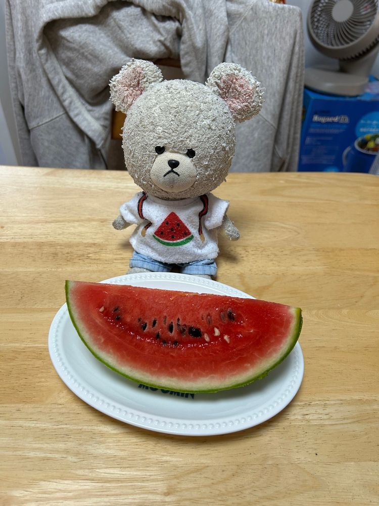 ジャジャーン🎉スイカ🍉
ばあちゃんの畑で育てていたスイカが食べられそうになったから収穫なの✂️
だから、毎年恒例スイカ🍉Tシャツにお着替えなの🐻❄️❣️
ぱっかーん🔪
真っ赤だ✨
うま〜🍉
お店にぴーしゃんのココロの声が届いてたみたい🐻❄️📣
ぜんぶ食べたい欲張りさんって、そんな褒め言葉🤣わんぱくセット🤭
わぁ‼️
袋開けたら、欲張りさんが勢揃い🦔🐻❄️🦔🦔🦔
ハンバーガー🍔たまごサンドクロワッサン🥐たまごドーナツ🍩パンオショコラ🍫フライドチキン🍗
みんなで分けても満腹❤️