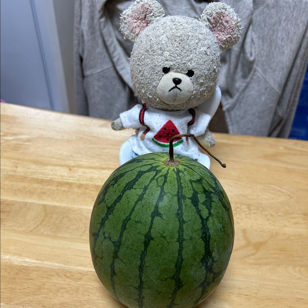 ジャジャーン🎉スイカ🍉
ばあちゃんの畑で育てていたスイカが食べられそうになったから収穫なの✂️
だから、毎年恒例スイカ🍉Tシャツにお着替えなの🐻❄️❣️
ぱっかーん🔪
真っ赤だ✨
うま〜🍉
お店にぴーしゃんのココロの声が届いてたみたい🐻❄️📣
ぜんぶ食べたい欲張りさんって、そんな褒め言葉🤣わんぱくセット🤭
わぁ‼️
袋開けたら、欲張りさんが勢揃い🦔🐻❄️🦔🦔🦔
ハンバーガー🍔たまごサンドクロワッサン🥐たまごドーナツ🍩パンオショコラ🍫フライドチキン🍗
みんなで分けても満腹❤️
