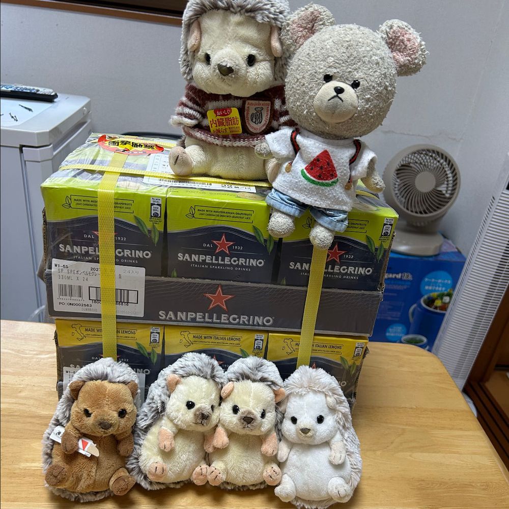ぴーしゃん、この前の冷凍のゆず風味する稲荷にハマっちゃって、リピート中🥄
昨日のお赤飯の残りと一緒に、朝からモリモリ🐻❄️🎶
朝ね、パトロールしてたら、カエルさん遊びにきてた🐸
玄関にはサナギが…🦋
バッタや芋虫はぴーしゃんのお野菜でビュッフェしてるし…
早朝はカナカナカナカナ…ってヒグラシ鳴いてるし、日中はミンミンゼミやアブラゼミ鳴いてるし…
ぴーしゃん、夏の冒険気分だよ🔍🐻❄️
お家の人、いつものハマるとまとめ買い発動なの👛
いろいろのんで、レモンとポンペルモ(グレープフルーツ)のが気に入って、この夏楽しむんだって🥤
ぴーしゃんもたっぷり飲む🐻❄️もちろん、炭酸デビューを迎えた食いしん坊たちも🦔