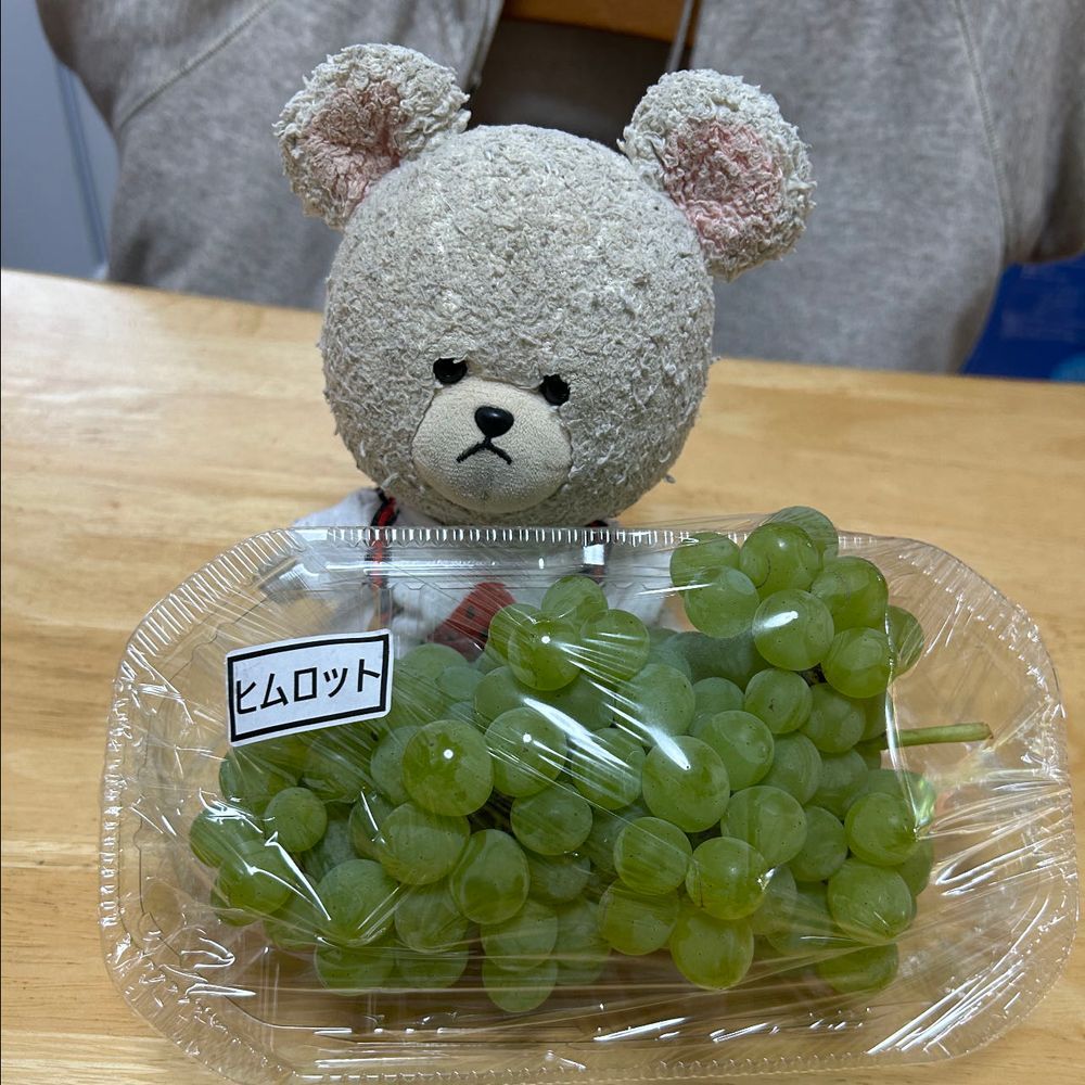昨日ね、ちっくんとまろんちゃんが喧嘩なの🦔🦔
食いしん坊侍の刀の奪い合い💦
一本紛失して、貸して〜まだダメ〜の大騒ぎ🌀
うにちゃんぼんちゃんもジッと見守ってるよ👀
これは信玄餅食べるしかないな😋
昨日のお昼はモスにしたの🍔
悩んで海老カツバーガーだよ🦐ドリンクがね、白桃のシュワシュワだった🍑美味しすぎてまたモスに行きたくなったよ🚙
JAに買い物行ったらヒムロットって名前のぶどうが🍇
初めてみたよ❣️
朝ごはんに洗って食べてみたらね、デラウェアみたいなお味だった💕酸味あって爽やか✨
