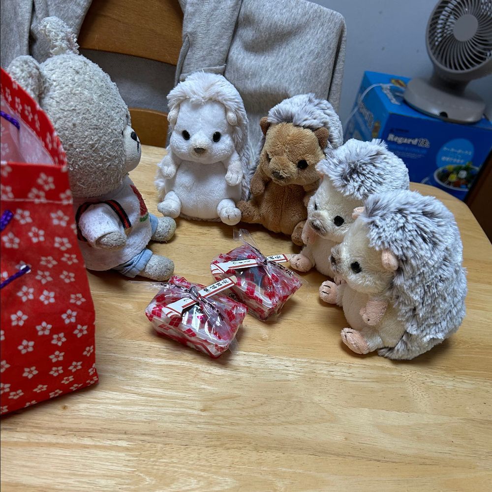 ちくまろうにぼん❗️
お待ちかねの信玄餅届いたよ〜📣🐻‍❄️
集まったね❣️
今から、食いしん坊侍の２代目の刀⚔️配るよ〜
うにちゃん、ぼんちゃんは興味津々🦔
じゃじゃ〜ん‼️
４ぬい衆　爆誕✨
みんないいお顔して📸
おやつだよって言ったのに…
信玄餅そっちのけで刀に夢中⚔️
ぴーしゃんは包み紙にひっくり返して、黒みつかけて、もみもみして、美味しくいただくよ🥄🐻‍❄️