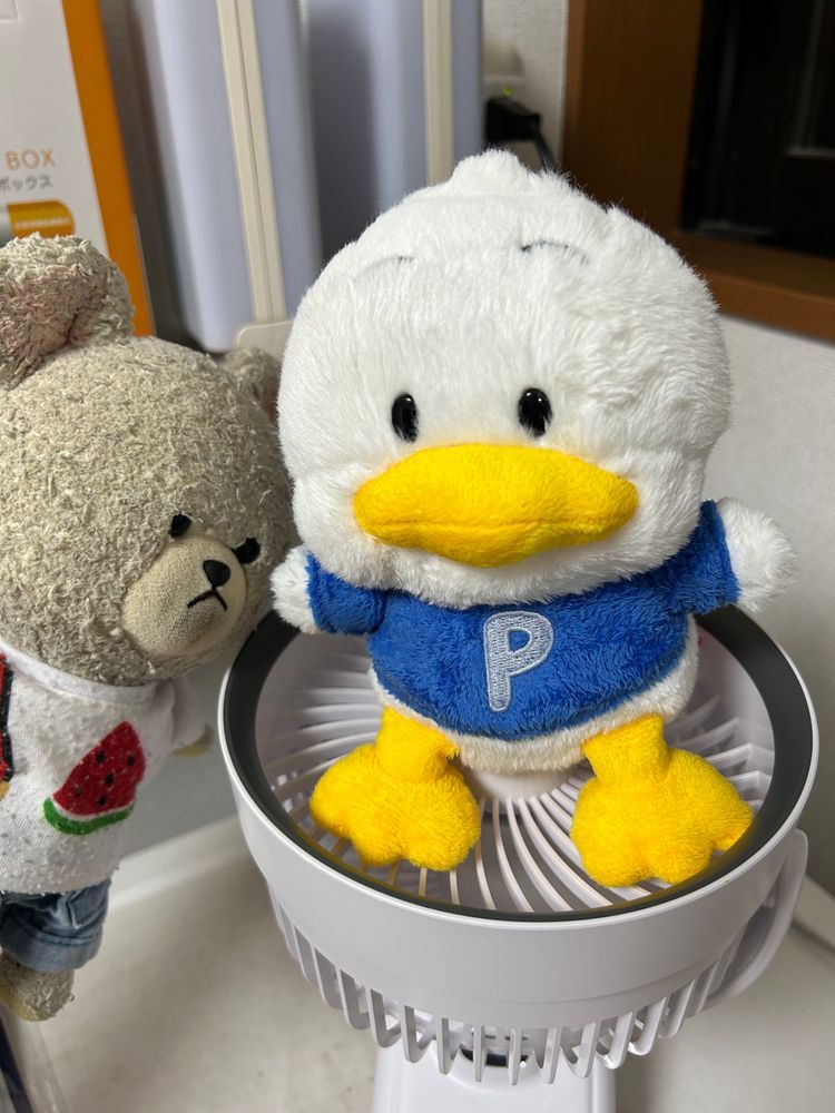 まさかのスーパーダイブを決めたぺくちゃん💦
お手手からツルッとすってんころりんごろりんじゃぼん‼️とキッチンのシンクの中に浸してあるお皿の上に😱
お家の人もぴーしゃんも悲鳴…
当のぺくちゃんは食べられちゃうことになったの？とか言い出すし…
夜だと言うのに即お風呂🛁
乾かすところないから、サーキュレーターの上に‼️乾くまで乗っててね💦
お家の人、まったく〜忙しい時に限って…🌀ってなってた😫

ぴーしゃんの食べたおやつの話…
ＪＡで買ったふんわり農協牛乳カステラね、砂糖たっぷり感じる甘い系ではないふわふわケーキみたいなのだった❣️
美味しかったから、ぴーしゃん明日のＪＡ行きたい🚙
