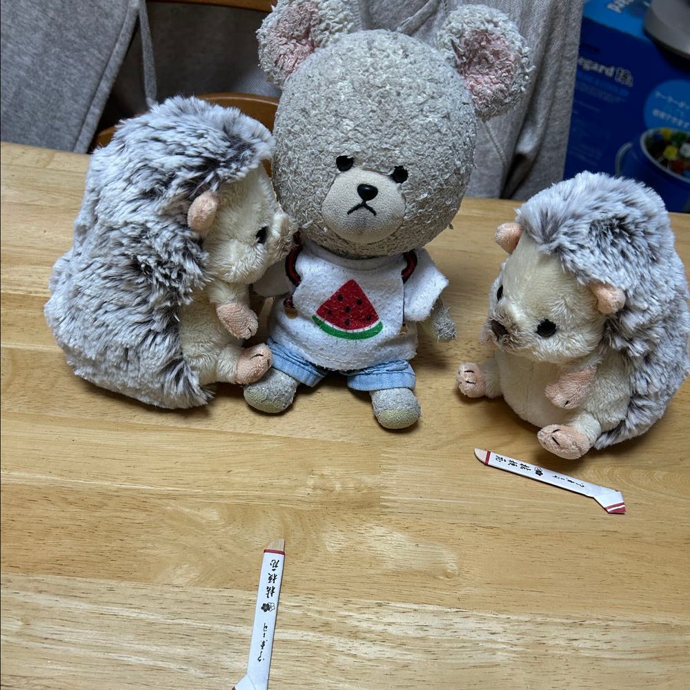 ぴーしゃんコンビニパトロール🚙
セブンイレブンでね、りすちゃんから聞いた白桃烏龍茶見つけてきた❣️白桃の香りがすごくするのに甘くないさっぱりな烏龍茶で感動🥹
ファミマでは大きくなってるクレープ❣️
むむむ、ぴーしゃん的にいつもこのサイズで販売して欲しい🐻❄️
大好きエビを見つけて🎶
セコマで毎度恒例ホットシェフの芋の美味しさが活かされてる北海道ポテト🍟とフライドチキン🍗を✨しょっぱいのあると甘いのも欲しくなるからひと口のパン🍫
4枚目に食いしん坊サムライとしての壁にぶち当たるうにちゃんとぼんちゃん…
せっかくの刀が逃げ出すんだって💦
かといって…まろんちゃん🦔みたいにお太り❗️とはアドバイス避けたいしな…甘えん坊が持ち上がらなくなるのは避けたい😱むむむ🤔