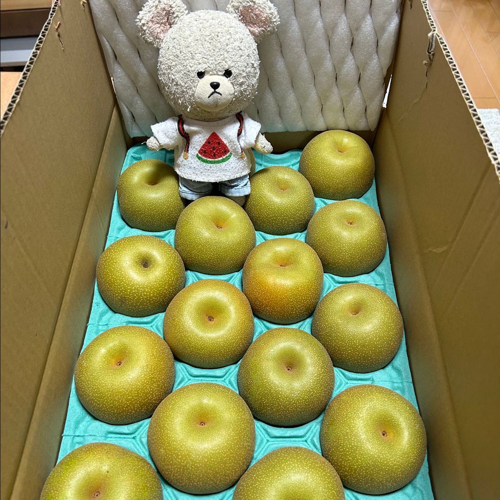 ふじみのりって種類のぶどうなの🍇種無しだよ👍大粒だし、味はちょっと酸味があって、ピオーネに近いかな🤭
お家の人のおじさんが送ってくれた茨城の梨、幸水なの❣️
今年はそんなにひと玉あたりが大きくないかな🍐
シャリシャリで美味しい😋
そして、昨夜の夜、やる気を失った風で昼に買った業スーのカツと、ストック用のレトルトカレーでカツカレーの秘技を早速かましたお家の人だよ🍛
ぴーしゃん、もうなの？って聞いちゃったよ〜🐻‍❄️まあ、カレー大好きだからいいよ🎶
4枚目はいただきものおやつ（今朝のやる気補充用）駿河湾の方行った人がいて、くれたの❣️あと、ぴーしゃんの左にいる甘いものはね、茨城県常陸太田市の公式マスコットキャラクターのじょうづるさんでね、『じょうづるさん竹炭どら焼き』なの✨ぴーしゃん、ぱっと見ベレー帽被ったペンギンさんかなって🐧