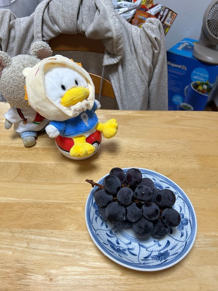 ぴーしゃんチにて🏠
朝のお庭作業中に見つけたの👀
珍しくもないけど、今年初のハグロトンボさん👀❤️
羽は黒いし、ボディはキラキラだし、オシャレさん👍✨

ぴーしゃん、巨峰なの🍇
食べたいよ〜って騒ぐぺくちゃん💦
歩けばいいのに、、、ぴーしゃんを呼ぶ子…
わっせ💦わっせ💦💦
ぜぇはぁぜぇはぁ💨
…👀⁉️
めっちゃ目が輝いて、あ〜んして待ってるよ😳
ぴーしゃん、いつの間にかお世話がかり…🐻‍❄️
美味しそうに頬張ってるとこ見ると可愛くて面倒みちゃうんだよね🤭
ぴーしゃんも🍇うま〜❣️