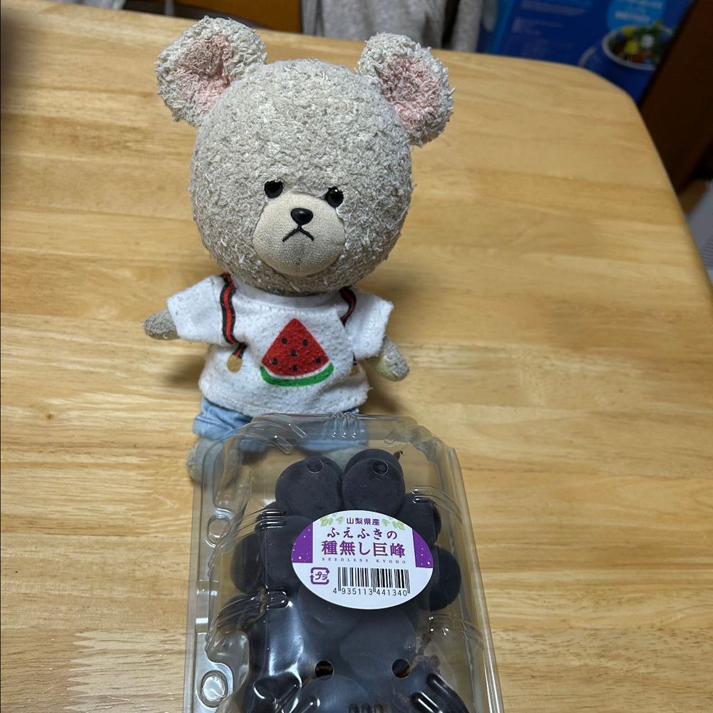 ぴーしゃんチにて🏠
朝のお庭作業中に見つけたの👀
珍しくもないけど、今年初のハグロトンボさん👀❤️
羽は黒いし、ボディはキラキラだし、オシャレさん👍✨

ぴーしゃん、巨峰なの🍇
食べたいよ〜って騒ぐぺくちゃん💦
歩けばいいのに、、、ぴーしゃんを呼ぶ子…
わっせ💦わっせ💦💦
ぜぇはぁぜぇはぁ💨
…👀⁉️
めっちゃ目が輝いて、あ〜んして待ってるよ😳
ぴーしゃん、いつの間にかお世話がかり…🐻‍❄️
美味しそうに頬張ってるとこ見ると可愛くて面倒みちゃうんだよね🤭
ぴーしゃんも🍇うま〜❣️