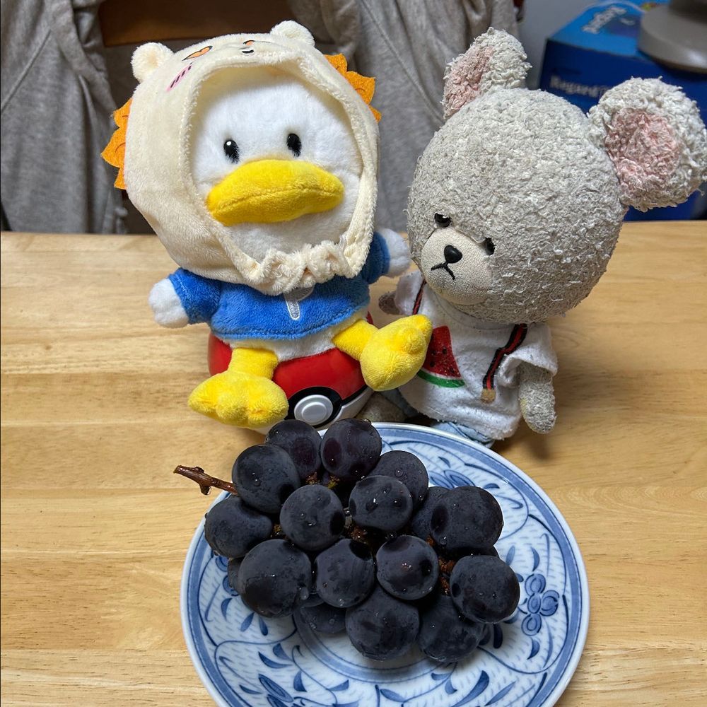 ぴーしゃんチにて🏠
朝のお庭作業中に見つけたの👀
珍しくもないけど、今年初のハグロトンボさん👀❤️
羽は黒いし、ボディはキラキラだし、オシャレさん👍✨

ぴーしゃん、巨峰なの🍇
食べたいよ〜って騒ぐぺくちゃん💦
歩けばいいのに、、、ぴーしゃんを呼ぶ子…
わっせ💦わっせ💦💦
ぜぇはぁぜぇはぁ💨
…👀⁉️
めっちゃ目が輝いて、あ〜んして待ってるよ😳
ぴーしゃん、いつの間にかお世話がかり…🐻‍❄️
美味しそうに頬張ってるとこ見ると可愛くて面倒みちゃうんだよね🤭
ぴーしゃんも🍇うま〜❣️