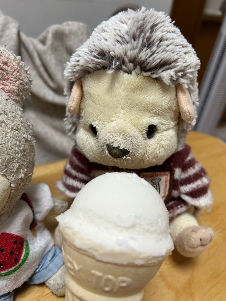 はりーちゃんと、これ食べるよ〜
プラスチックのカチカチするのに入ってるの❗️マイクみたいだ🎤ってお家の人がぴーしゃんとはりーちゃんに食べたいですかぁ〜？ってインタビューごっこ💦
とけちゃうでしょ‼️
はりーちゃんからどうぞ🦔
ぴーしゃんもあむ❗️あむあむあむ🐻‍❄️
さっぱり味が懐かしい系アイスだ✨