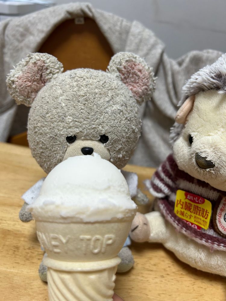 はりーちゃんと、これ食べるよ〜
プラスチックのカチカチするのに入ってるの❗️マイクみたいだ🎤ってお家の人がぴーしゃんとはりーちゃんに食べたいですかぁ〜？ってインタビューごっこ💦
とけちゃうでしょ‼️
はりーちゃんからどうぞ🦔
ぴーしゃんもあむ❗️あむあむあむ🐻‍❄️
さっぱり味が懐かしい系アイスだ✨