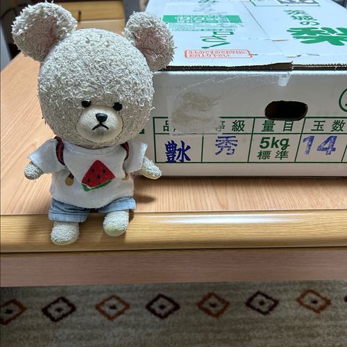 お家の人のおじさんから今度は豊水が届いたよ〜📦
味見してみたら、今年の豊水はみずみずしさ、柔らかさ、甘さ、パーフェクト💯🐻‍❄️

そして、届く直前に買ったぶどう2種🍇
ナガノパープルも、シャインマスカットも大好きな品種✨
丸ごと買うと高いけど、小分けパックにしてもらえると、お家の人のお財布的に大助かり😂

ぴーしゃん、昨日日干しされた後にお着替え…👖👕
脱いだ服がお洗濯場へ向かって行進してるみたいだ👀💦…変‼️
