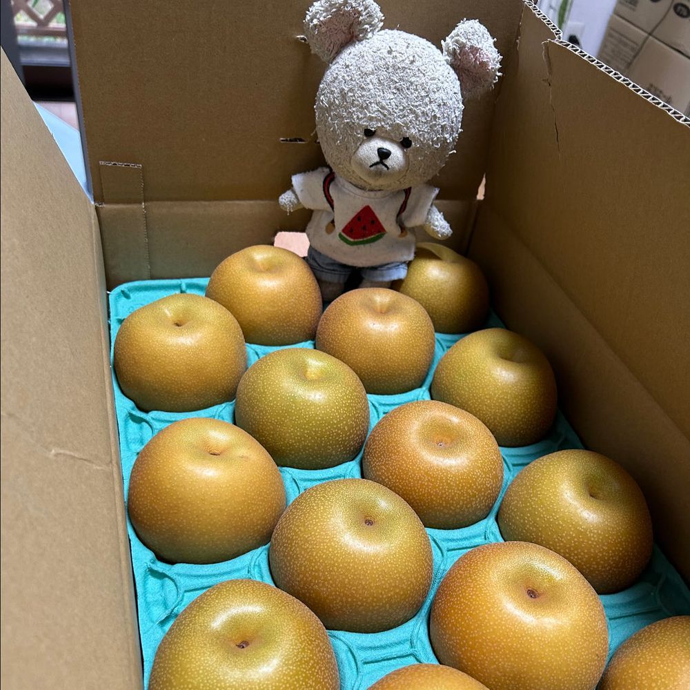 お家の人のおじさんから今度は豊水が届いたよ〜📦
味見してみたら、今年の豊水はみずみずしさ、柔らかさ、甘さ、パーフェクト💯🐻‍❄️

そして、届く直前に買ったぶどう2種🍇
ナガノパープルも、シャインマスカットも大好きな品種✨
丸ごと買うと高いけど、小分けパックにしてもらえると、お家の人のお財布的に大助かり😂

ぴーしゃん、昨日日干しされた後にお着替え…👖👕
脱いだ服がお洗濯場へ向かって行進してるみたいだ👀💦…変‼️