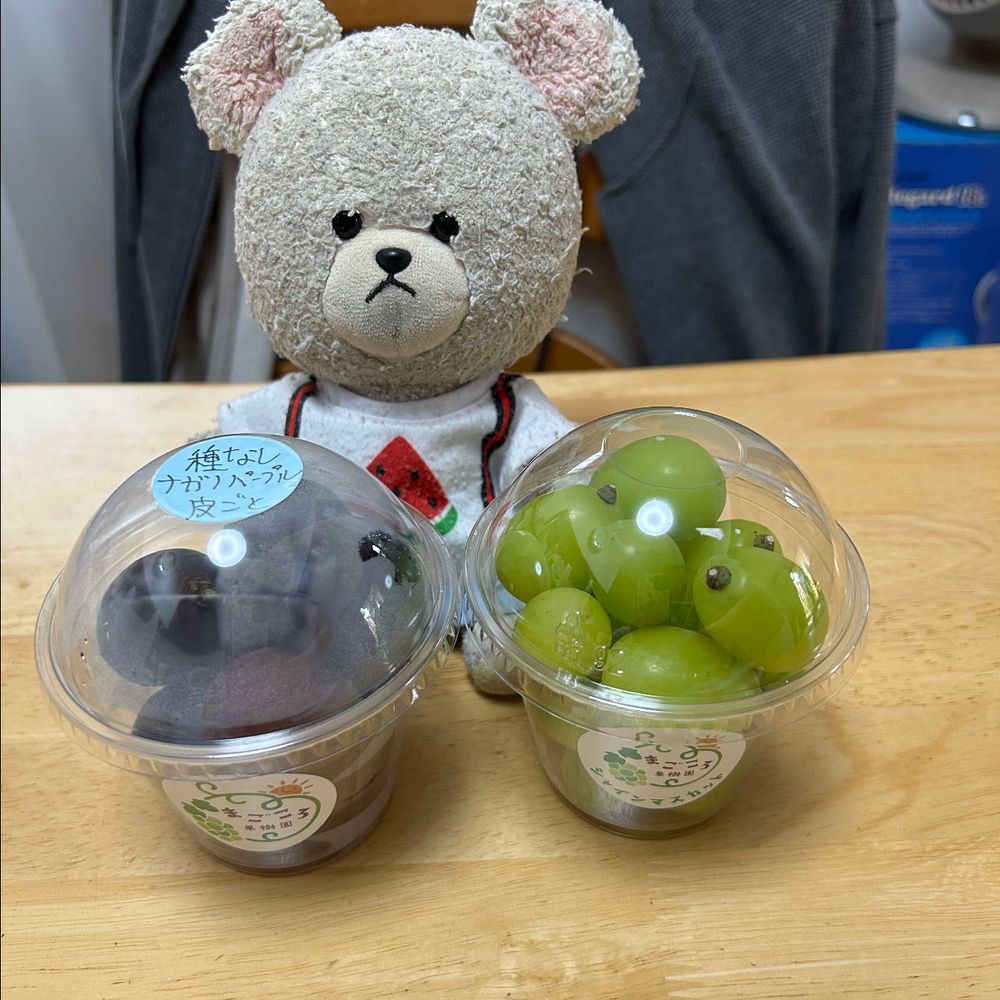 お家の人のおじさんから今度は豊水が届いたよ〜📦
味見してみたら、今年の豊水はみずみずしさ、柔らかさ、甘さ、パーフェクト💯🐻‍❄️

そして、届く直前に買ったぶどう2種🍇
ナガノパープルも、シャインマスカットも大好きな品種✨
丸ごと買うと高いけど、小分けパックにしてもらえると、お家の人のお財布的に大助かり😂

ぴーしゃん、昨日日干しされた後にお着替え…👖👕
脱いだ服がお洗濯場へ向かって行進してるみたいだ👀💦…変‼️