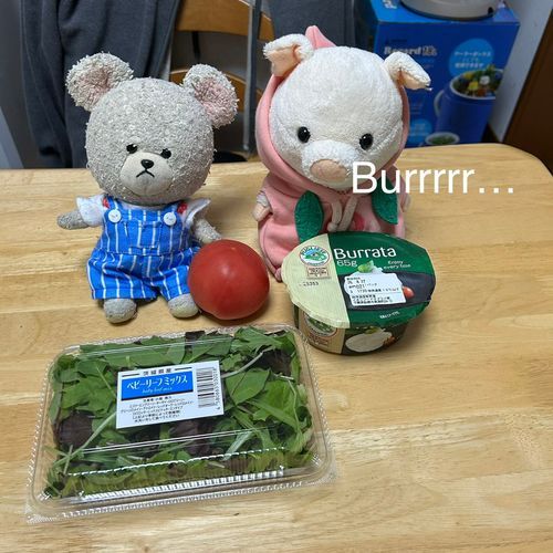 みなさん　こんばんは♪
ぴーしゃんクッキングのお時間です🧑‍🍳
ゲストはちびブーちゃんをお迎えして🐷
気合い入ってますね😊
ベビーリーフミックス、トマト🍅、ブラータチーズ🧀
洗って切って🔪真ん中にチーズを‼️
オリーブオイルたらり、クレイジーソルトをしゃかしゃか✨
ナイフアンドフォーク召喚🍴
いざ‼️
ワァオ‼️😳
周りしっかりチーズ、中はとろとろ〜
チーズ、トマト、はっぱをセットにしてパクリ…うまーーーッッ🐻‍❄️❣️