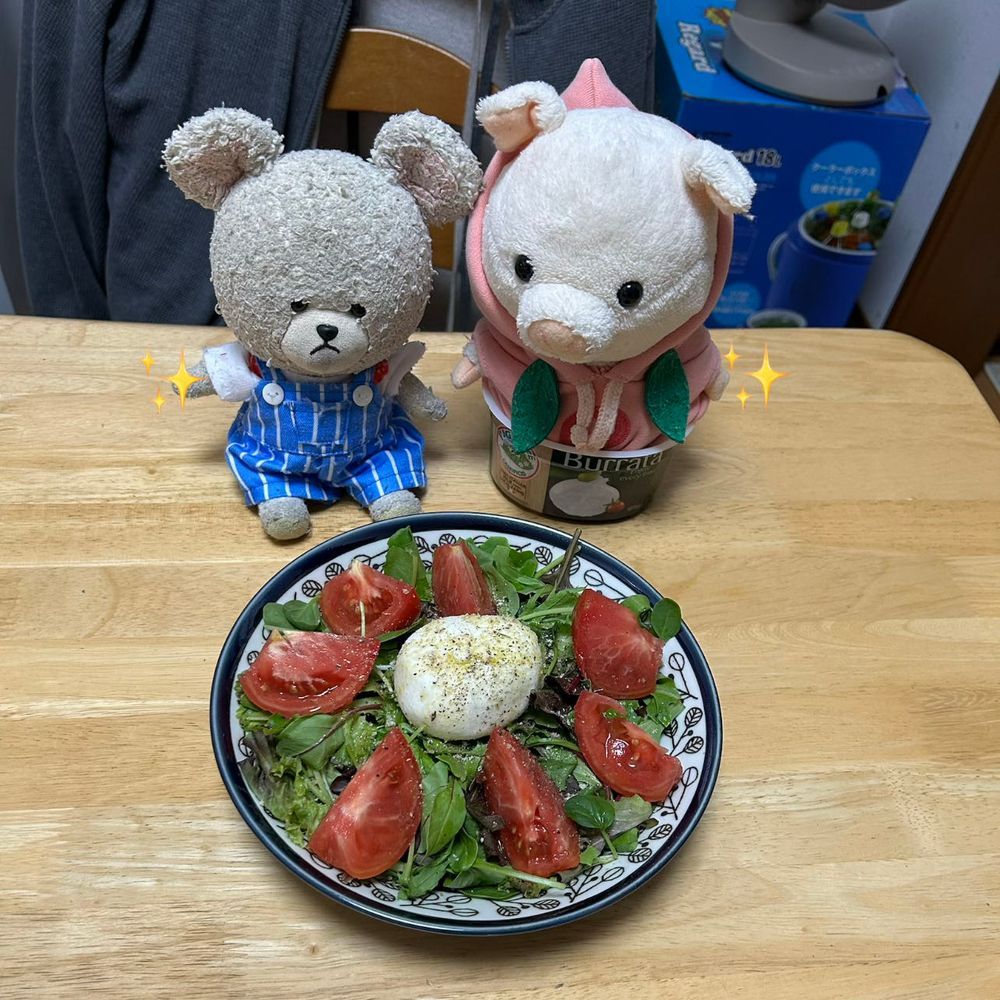 みなさん　こんばんは♪
ぴーしゃんクッキングのお時間です🧑‍🍳
ゲストはちびブーちゃんをお迎えして🐷
気合い入ってますね😊
ベビーリーフミックス、トマト🍅、ブラータチーズ🧀
洗って切って🔪真ん中にチーズを‼️
オリーブオイルたらり、クレイジーソルトをしゃかしゃか✨
ナイフアンドフォーク召喚🍴
いざ‼️
ワァオ‼️😳
周りしっかりチーズ、中はとろとろ〜
チーズ、トマト、はっぱをセットにしてパクリ…うまーーーッッ🐻‍❄️❣️