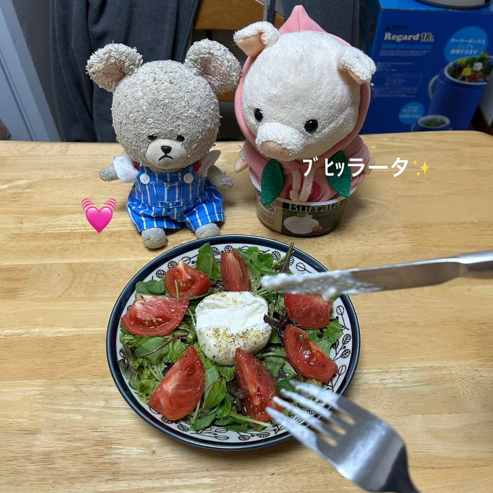 みなさん　こんばんは♪
ぴーしゃんクッキングのお時間です🧑‍🍳
ゲストはちびブーちゃんをお迎えして🐷
気合い入ってますね😊
ベビーリーフミックス、トマト🍅、ブラータチーズ🧀
洗って切って🔪真ん中にチーズを‼️
オリーブオイルたらり、クレイジーソルトをしゃかしゃか✨
ナイフアンドフォーク召喚🍴
いざ‼️
ワァオ‼️😳
周りしっかりチーズ、中はとろとろ〜
チーズ、トマト、はっぱをセットにしてパクリ…うまーーーッッ🐻‍❄️❣️