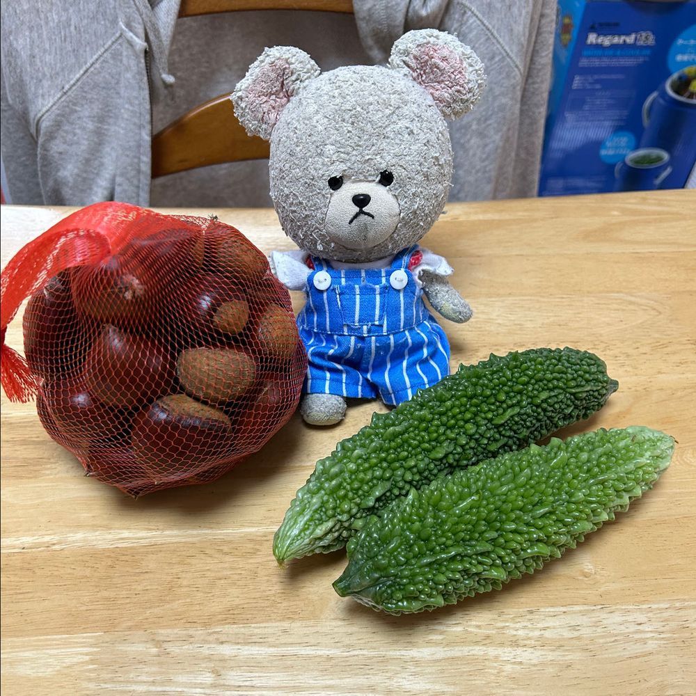 お家の人、サボり癖ついたとか言ってパン買ったり、セコマでおむすび🍙買ったり〜しかもセコマのおむすび🍙は新作でね、牛カルビだった😋
でも、サボり癖も現物登場じゃ続けるわけいかないね💦
ゴーヤーチャンプルーになぁ〜れ‼️
栗はむいて冷凍だ🌰🧊
