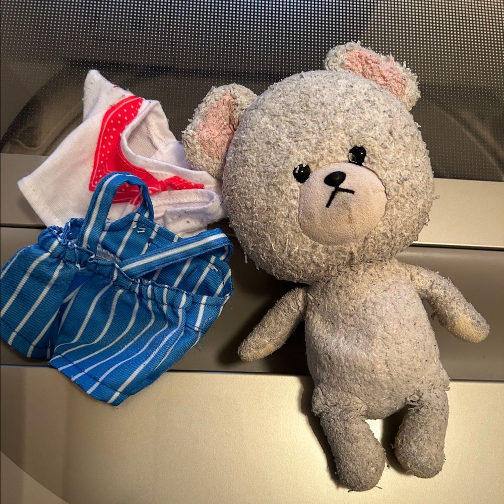 その後…
①
ゆずレモン臭とはこれでお別れだ🛁
お〜い、ぴーしゃん繊細な布ものだから、エマールにしてくれぇ〜‼️
②
お風呂上がり🛀
…この後はトルネードスピン🌪️
お家の人が高速コーヒーカップだって言い張るけど、そんな可愛いアトラクションじゃない❌
③
けっこうなお手前で…😵‍💫
④
お天気の都合でサーキュレーターの上へ❗️
ぺくちゃん、興味津々で見てるよ💦
ねぇ…見過ぎじゃない？