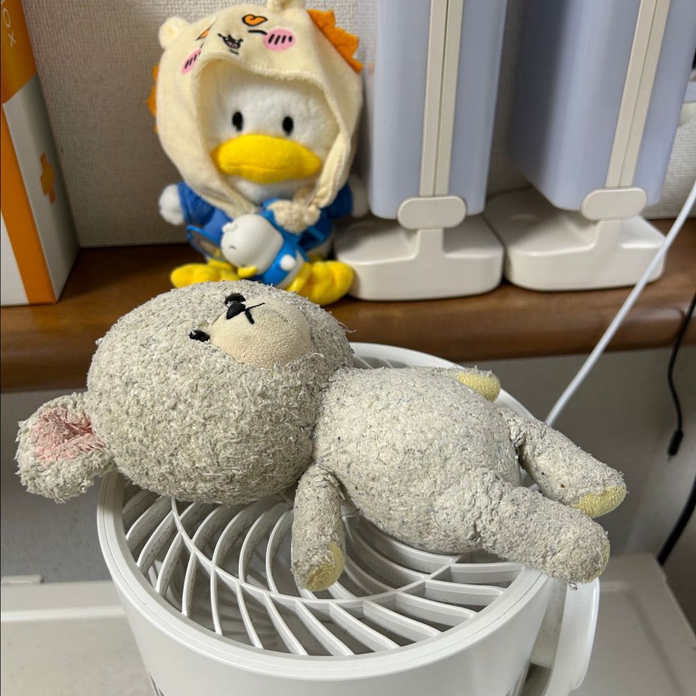 その後…
①
ゆずレモン臭とはこれでお別れだ🛁
お〜い、ぴーしゃん繊細な布ものだから、エマールにしてくれぇ〜‼️
②
お風呂上がり🛀
…この後はトルネードスピン🌪️
お家の人が高速コーヒーカップだって言い張るけど、そんな可愛いアトラクションじゃない❌
③
けっこうなお手前で…😵‍💫
④
お天気の都合でサーキュレーターの上へ❗️
ぺくちゃん、興味津々で見てるよ💦
ねぇ…見過ぎじゃない？