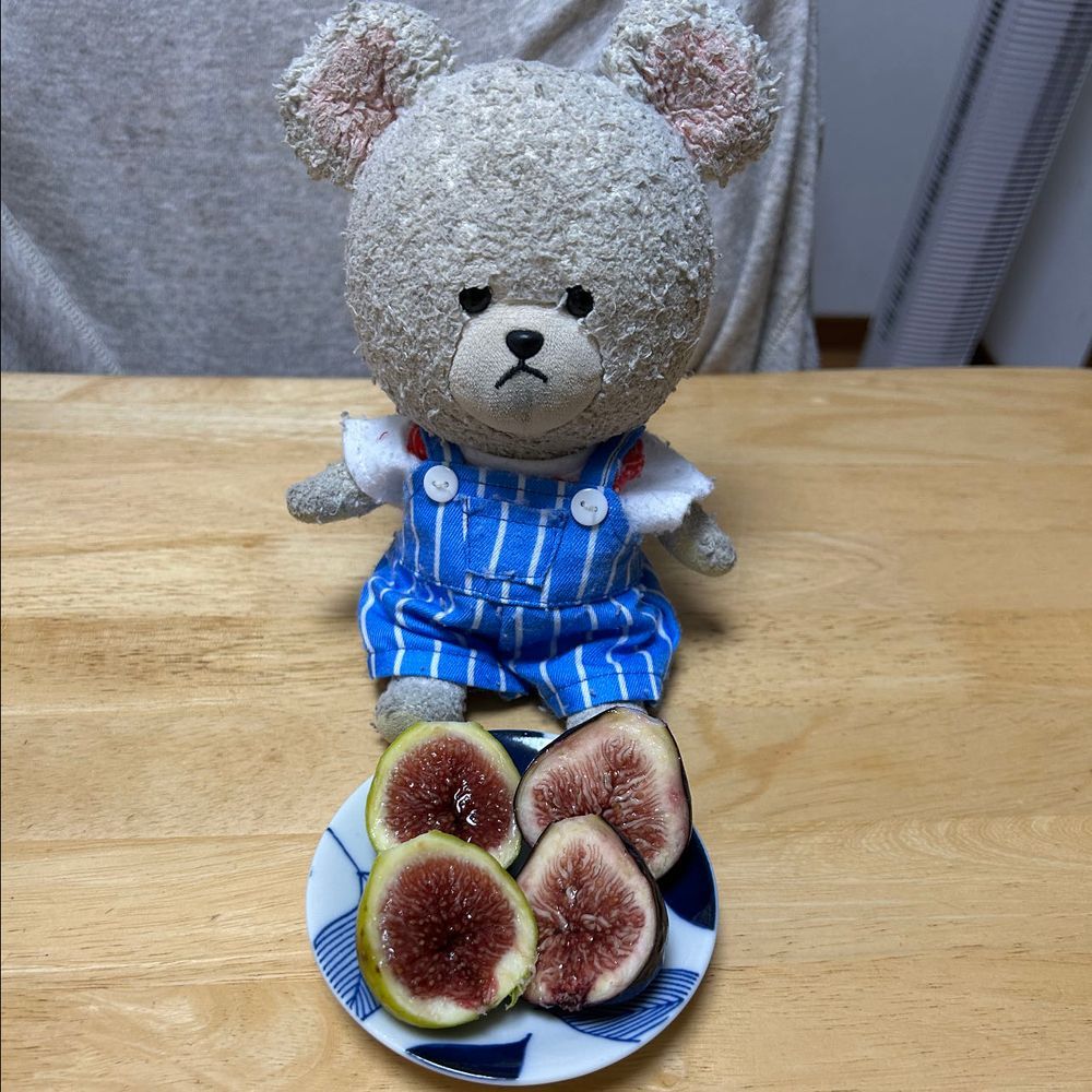 お土産でもらったわけっこ済みの梨、恵水と大きな幸水🍐
食べたことない恵水に群がるハリネズミたち🦔もとい、入れ物に入りたいハリネズミ🦔
恵水はね、味濃い目の梨だった❣️
クラファンで、また今年もゲットした絶品イチジク✨
紫の方が濃厚で、黄緑色の方がさっぱり酸味ある感じでどっちも美味しい😋