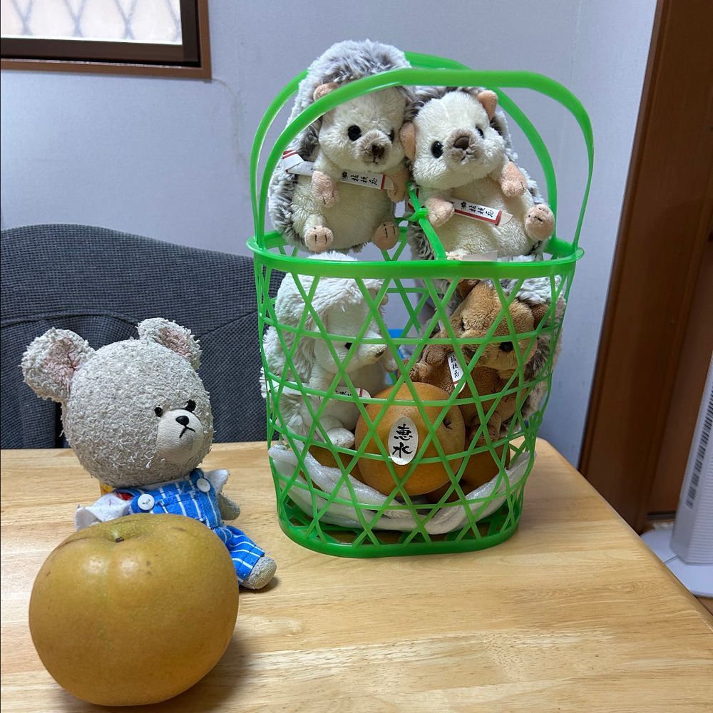 お土産でもらったわけっこ済みの梨、恵水と大きな幸水🍐
食べたことない恵水に群がるハリネズミたち🦔もとい、入れ物に入りたいハリネズミ🦔
恵水はね、味濃い目の梨だった❣️
クラファンで、また今年もゲットした絶品イチジク✨
紫の方が濃厚で、黄緑色の方がさっぱり酸味ある感じでどっちも美味しい😋