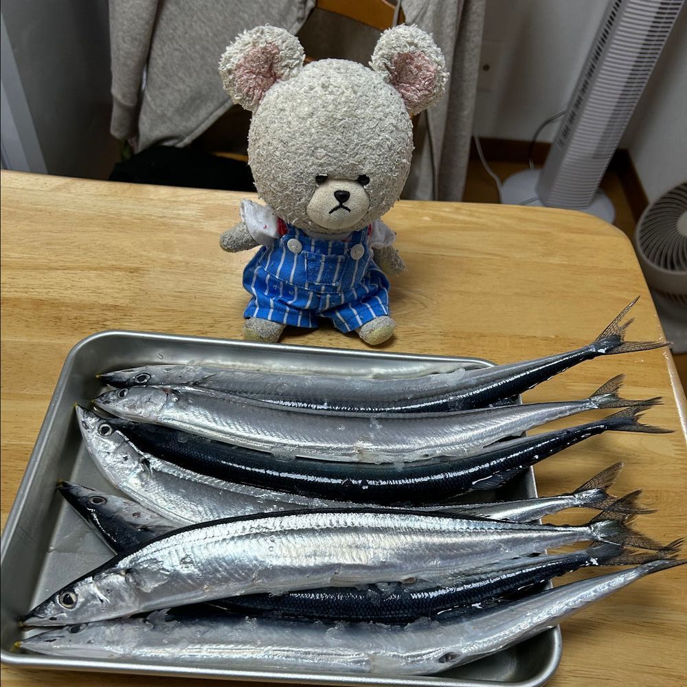 ぴーしゃんチ、今年も北海道から秋刀魚の取り寄せしたよ🐟
去年よりは小さいね😭
もう既に２晩楽しんだんだー🤤