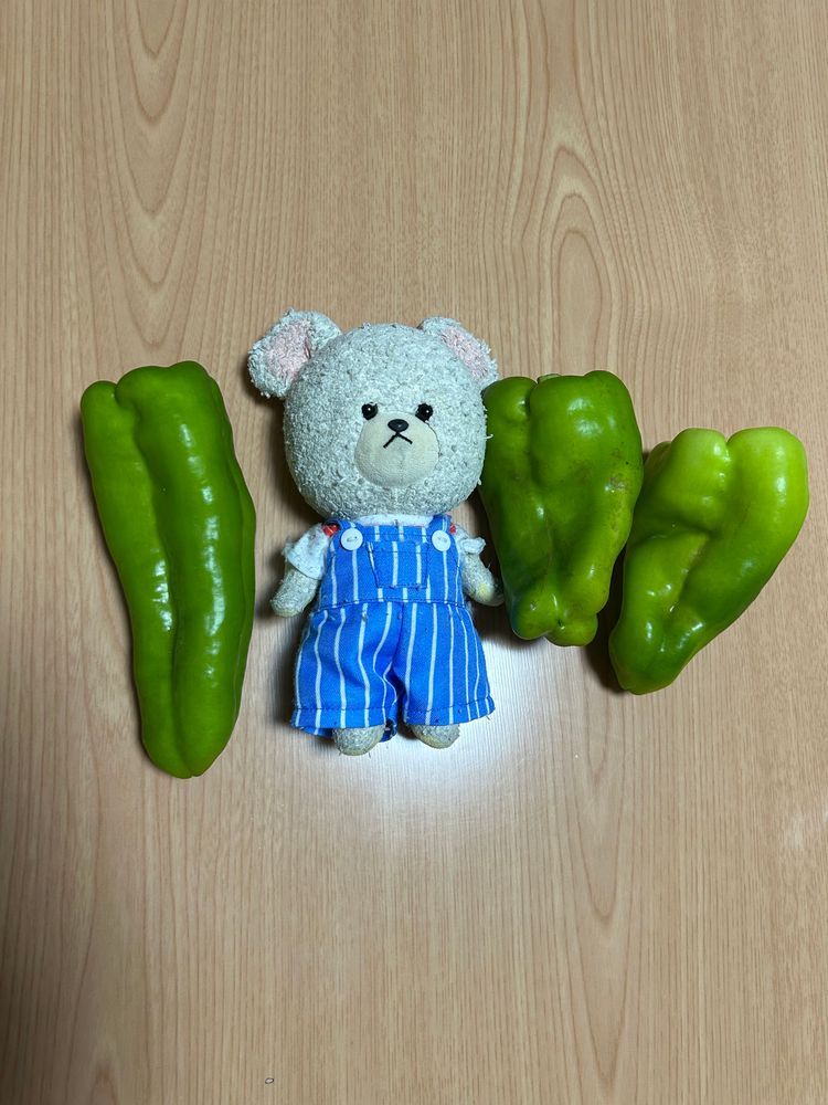 リベンジ完熟マンゴーパフェ🥭✨
ぺくちゃんは洋梨パフェだって🍐✨
ミニストップの店員さん、今日は間違えなかった👏👏

ジャンボピーマンなの🫑
ぴーしゃん
ちょっと負けそうだから背伸び🐻‍❄️💦
アイラブ黄金の味ではあるんだけど、ドンキで食べてみたい味のを買っちゃった💓そして、生姜🫚を買い忘れてきたから〜今夜はしょうが焼き改め、肉野菜炒めで、このタレ❣️
ジャンボピーマンでかいけど、火を入れるとほろほろやわやわ❤️