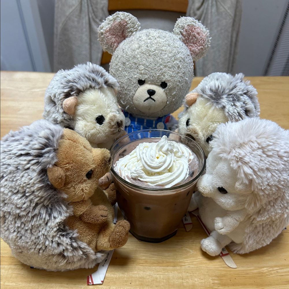 暑い🥵
朝から汗だく💦
お家の人がアイスココアのスペシャル作ってくれるって❣️
ぴーしゃんも、ちくまろうにぼんも、準備できてる😋
期限的には今年の1月までのスタバのチョコレートドリンクの粉のやつ🍫
おんなじ品があったら欲しかった〜😭
まあ、気を取り直して…
粉入れて、ちょっとの熱湯で練り練り〜🥄✨
ちょっとずつ混ぜながらミルクを注ぐ🥛✨あら?ちくまろうにぼんは刀を床に置いちゃったや🤣戦闘態勢だね🦔
生クリーム使い切りだからって、いっぱいしぼってくれたの💓
群がる食いしん坊たちさ👍