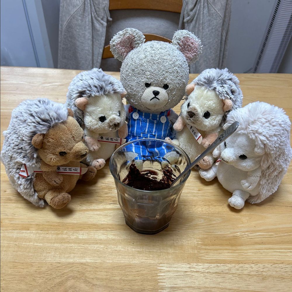 暑い🥵
朝から汗だく💦
お家の人がアイスココアのスペシャル作ってくれるって❣️
ぴーしゃんも、ちくまろうにぼんも、準備できてる😋
期限的には今年の1月までのスタバのチョコレートドリンクの粉のやつ🍫
おんなじ品があったら欲しかった〜😭
まあ、気を取り直して…
粉入れて、ちょっとの熱湯で練り練り〜🥄✨
ちょっとずつ混ぜながらミルクを注ぐ🥛✨あら?ちくまろうにぼんは刀を床に置いちゃったや🤣戦闘態勢だね🦔
生クリーム使い切りだからって、いっぱいしぼってくれたの💓
群がる食いしん坊たちさ👍