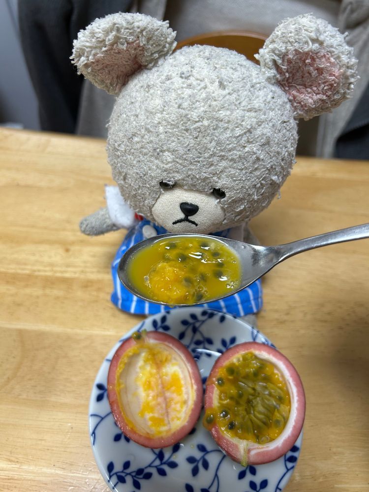 昨日の夜ごはんにさっそく四角豆❣️
カボチャとさつまいもと天ぷらに✨
四角豆仲間のぽちゃちゃんが美味しかったって話してたから、おんなじ土偶仲間のぐうたんにも美味しいよって教えてあげたら、喜んで食べにきた〜🎶こふたん、にわたんも一緒に来たよ〜
みんなでごはん🥢🐻‍❄️🎶
朝から残り物のおそば、冷蔵庫でひんやりなっててうまうま〜
パッションフルーツがデザートだよ🥄
かたいけど、半分に切ると、一気にいい香り〜🔪
つぶつぶすっぱぱで、爽やか〜❣️