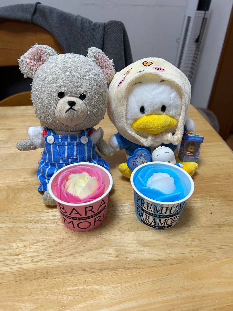 ネットスーパーでアイス買ったの👛
美味しそうだね〜🤤
さっそくおやつに✨
ちくまろうにぼんは全員揃って白バラコーヒーモナカに❣️
おかわりコールしてたから、美味しかったんだね👍
ちっくんによると、マイルドなコーヒー感あるアイスで食べやすいって✨
ぴーしゃんとぺくちゃんはババヘラアイスなの✨バラの花が咲いたように盛り付けるバラ盛りを手作りした…とか書いてあった❣️
これ、たぶんだけど…前にけあちゃん旅行時に食べてたやつかな？
ピンクも、水色も、薔薇になってて🌹
ぺくちゃん、毎度のあ〜んって😂
